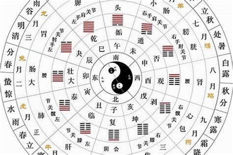 天干 陰陽|陰陽、五行與天干、地支 (作者：李文傳 老師 / 逢甲大學經濟學。